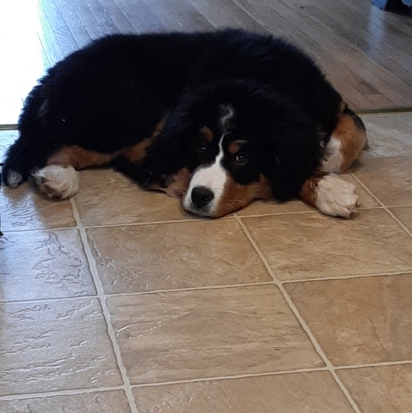 Kindness and Consideration - Picture 7 of 11